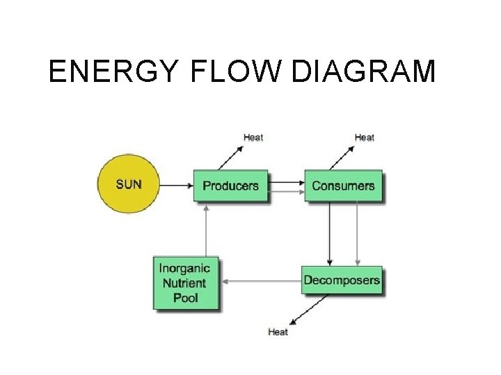 ENERGY FLOW DIAGRAM 