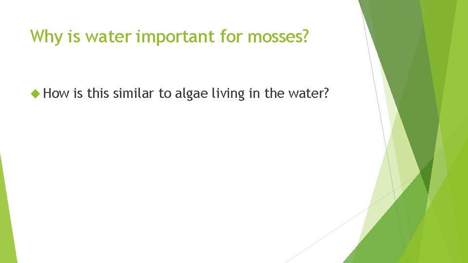 Why is water important for mosses? How is this similar to algae living in