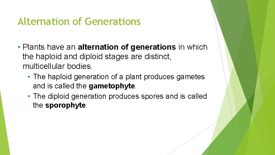 Alternation of Generations • Plants have an alternation of generations in which the haploid