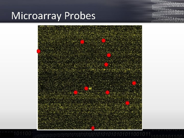 Microarray Probes 