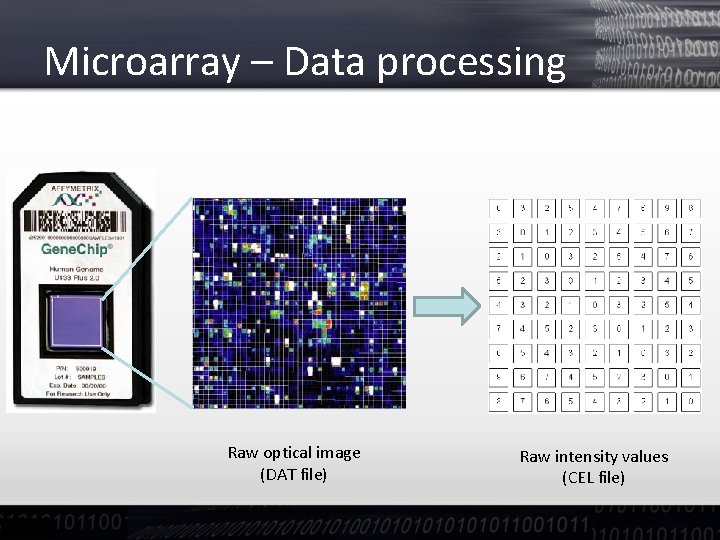 Microarray – Data processing Raw optical image (DAT file) Raw intensity values (CEL file)