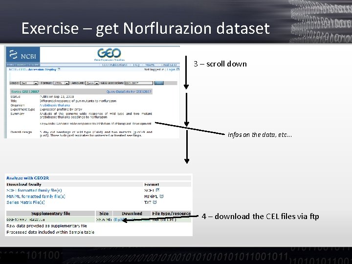 Exercise – get Norflurazion dataset 3 – scroll down Infos on the data, etc.