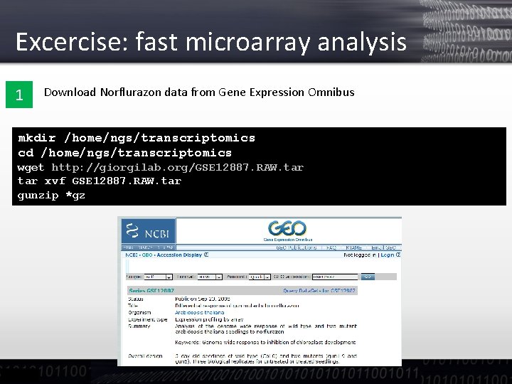 Excercise: fast microarray analysis 1 Download Norflurazon data from Gene Expression Omnibus mkdir /home/ngs/transcriptomics