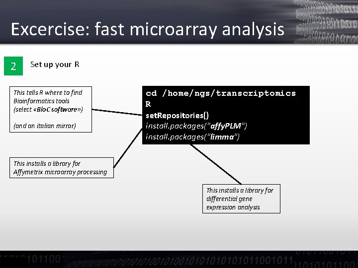 Excercise: fast microarray analysis 2 Set up your R This tells R where to