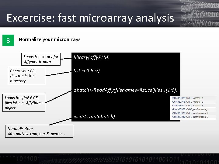 Excercise: fast microarray analysis 3 Normalize your microarrays Loads the library for Affymetrix data