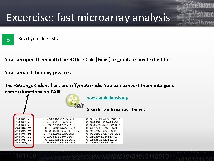 Excercise: fast microarray analysis 6 Read your file lists You can open them with