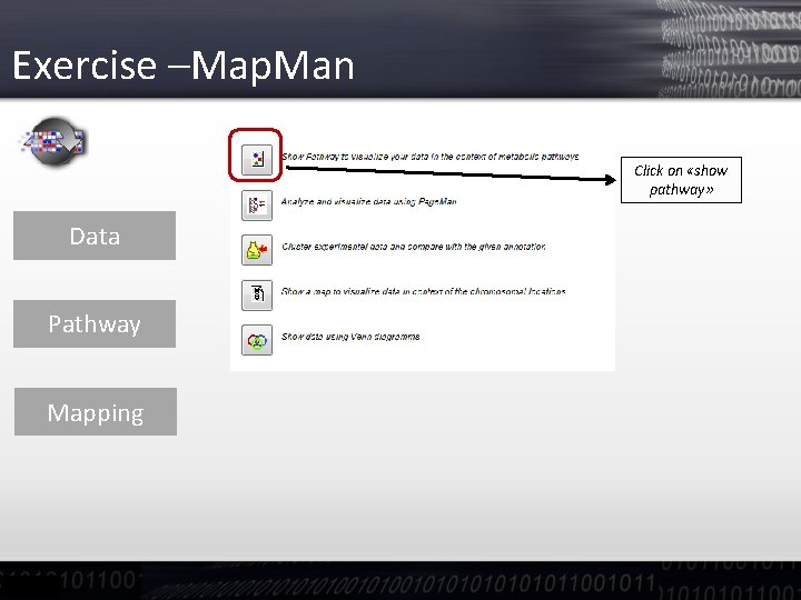 Exercise –Map. Man Click on «show pathway» Data Pathway Mapping 