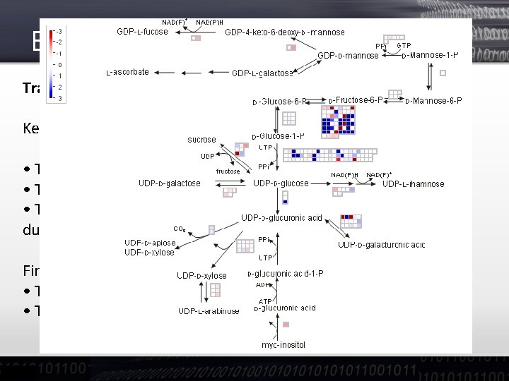 Background - Transcriptomics is the study of the Transcriptome Key Aims of Trascriptomics: •