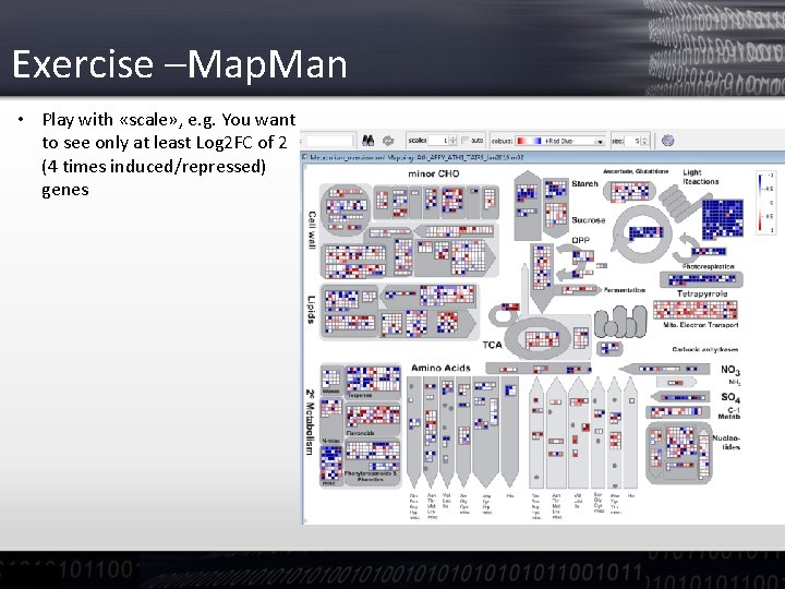 Exercise –Map. Man • Play with «scale» , e. g. You want to see