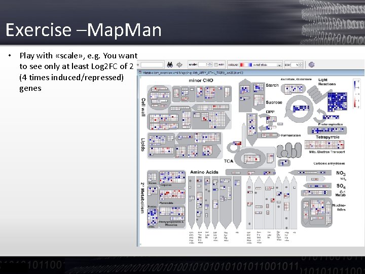 Exercise –Map. Man • Play with «scale» , e. g. You want to see