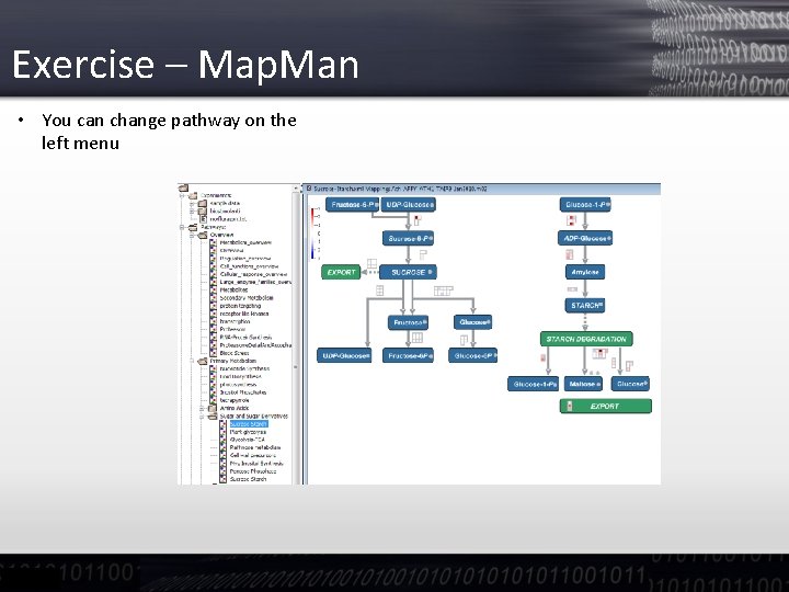 Exercise – Map. Man • You can change pathway on the left menu 