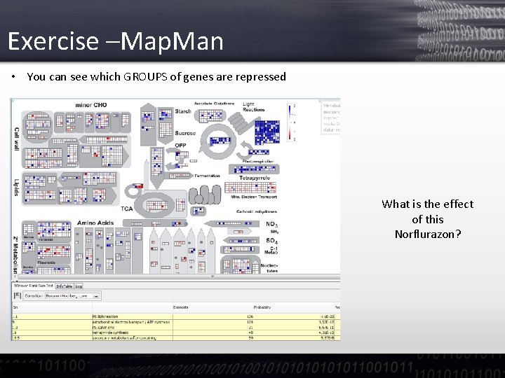 Exercise –Map. Man • You can see which GROUPS of genes are repressed What Exercise –Map. Man • You can see which GROUPS of genes are repressed What