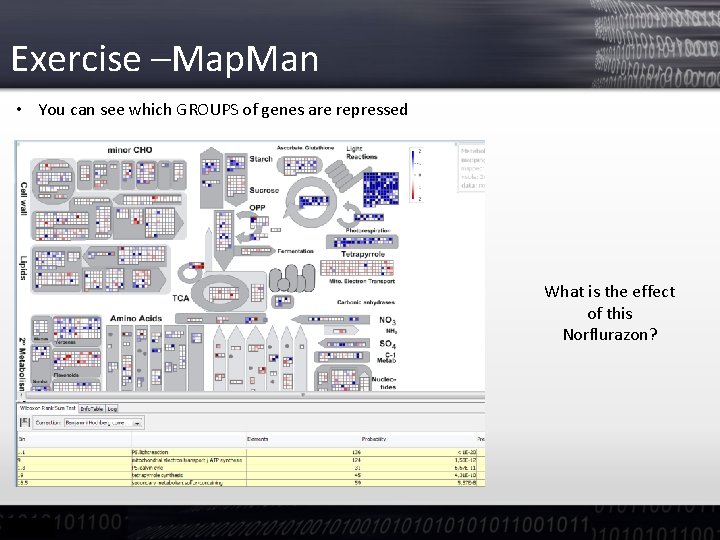 Exercise –Map. Man • You can see which GROUPS of genes are repressed What