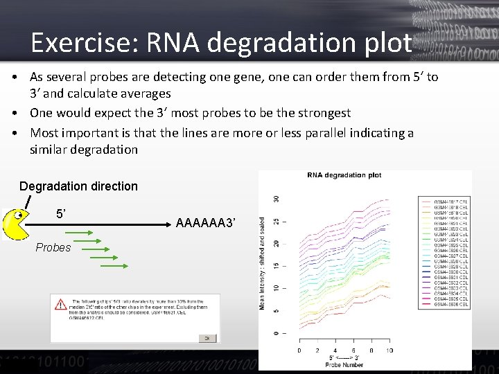 Exercise: RNA degradation plot • As several probes are detecting one gene, one can