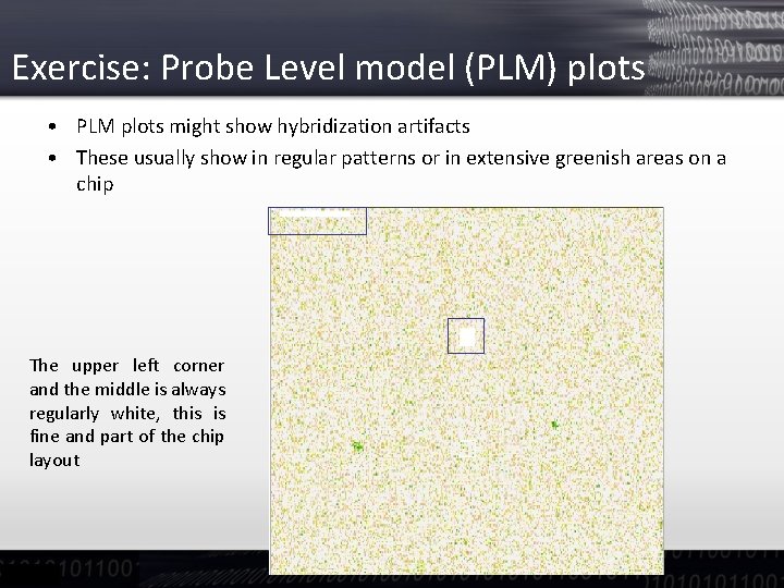 Exercise: Probe Level model (PLM) plots • PLM plots might show hybridization artifacts •