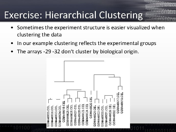 Exercise: Hierarchical Clustering • Sometimes the experiment structure is easier visualized when clustering the