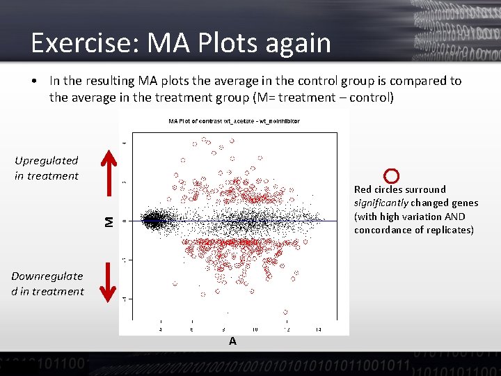 Exercise: MA Plots again • In the resulting MA plots the average in the