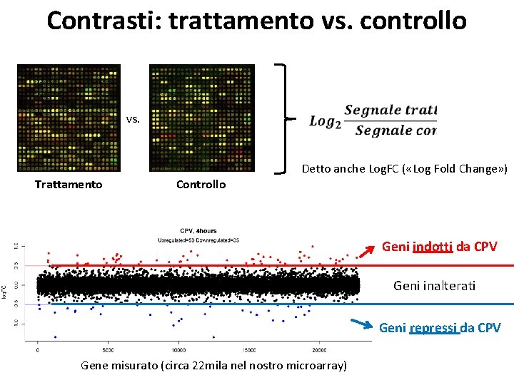 Contrasti: trattamento vs. controllo vs. Trattamento Controllo Detto anche Log. FC ( «Log Fold