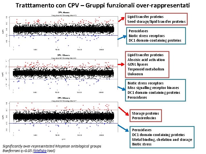 Tratttamento con CPV – Gruppi funzionali over-rappresentati Lipid transfer proteins Seed storage/lipid transfer proteins