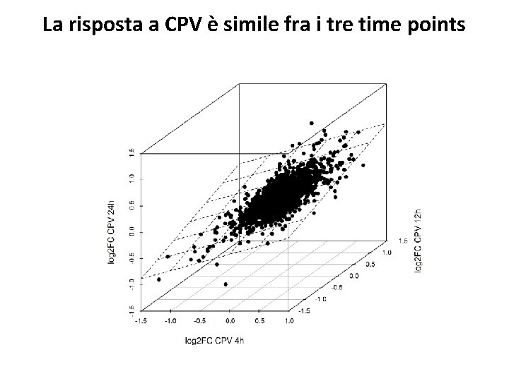 La risposta a CPV è simile fra i tre time points 