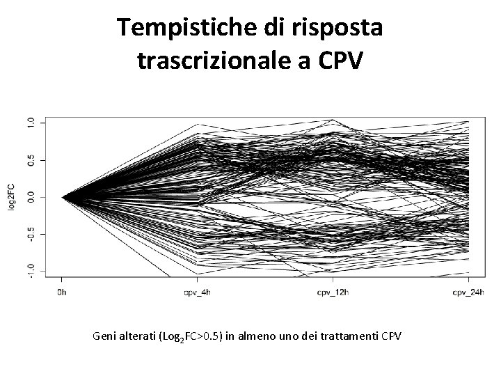 Tempistiche di risposta trascrizionale a CPV Geni alterati (Log 2 FC>0. 5) in almeno