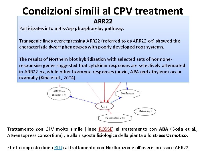 Condizioni simili al CPV treatment ARR 22 Participates into a His-Asp phosphorelay pathway. Transgenic