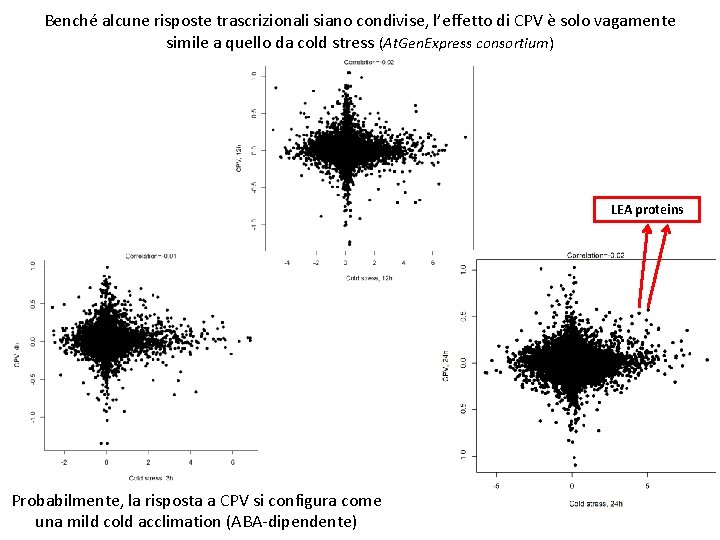 Benché alcune risposte trascrizionali siano condivise, l’effetto di CPV è solo vagamente simile a