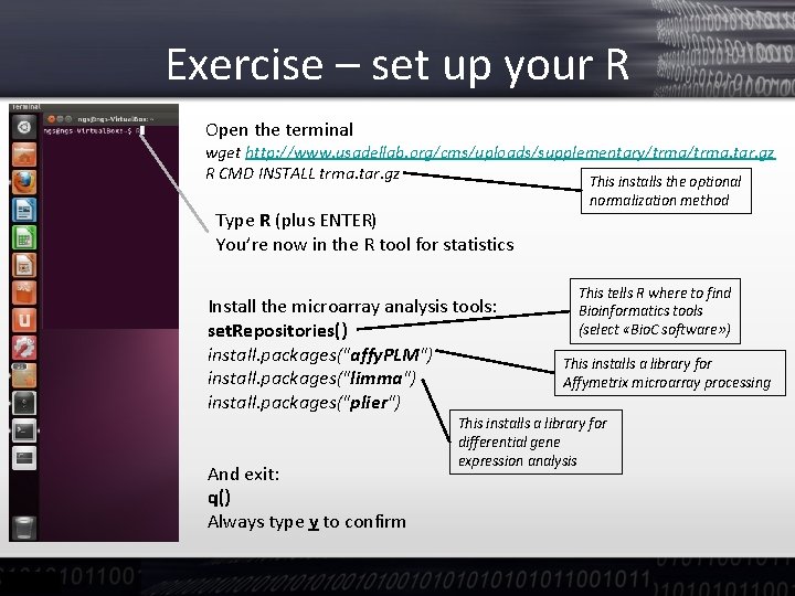 Exercise – set up your R Open the terminal wget http: //www. usadellab. org/cms/uploads/supplementary/trma.