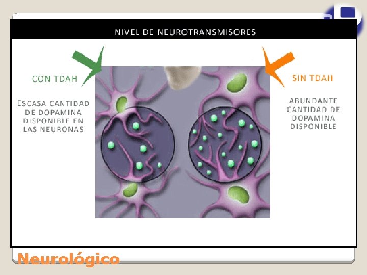 Neurológico 