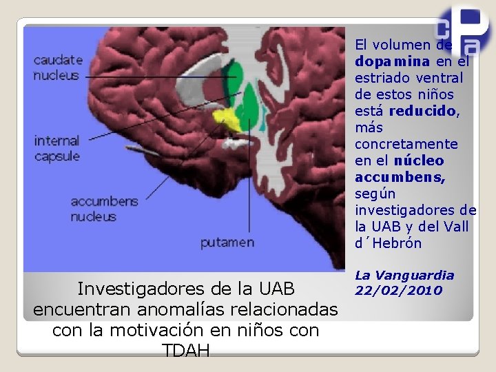 El volumen de dopamina en el estriado ventral de estos niños está reducido, más