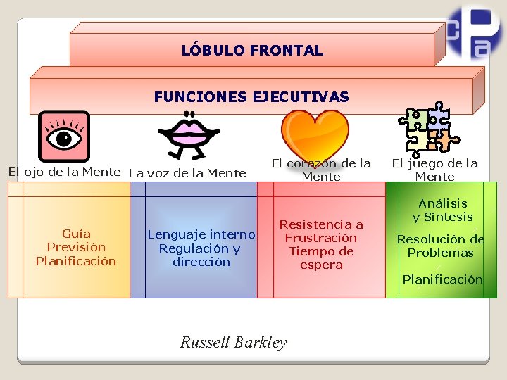 LÓBULO FRONTAL FUNCIONES EJECUTIVAS El ojo de la Mente La voz de la Mente