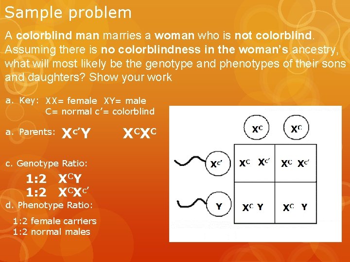 Sample problem A colorblind man marries a woman who is not colorblind. Assuming there