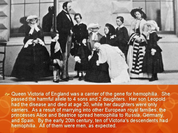  Queen Victoria of England was a carrier of the gene for hemophilia. She