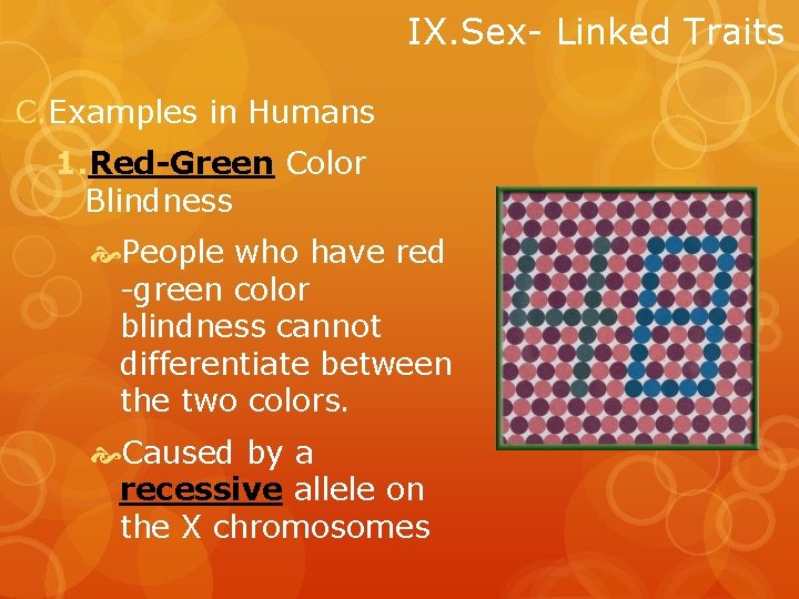IX. Sex- Linked Traits C. Examples in Humans 1. Red-Green Color Blindness People who