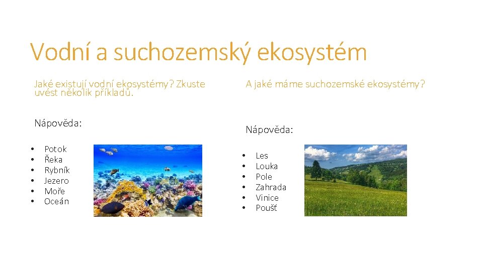 Vodní a suchozemský ekosystém Jaké existují vodní ekosystémy? Zkuste uvést několik příkladů. A jaké