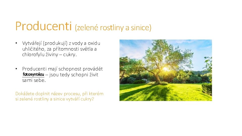 Producenti (zelené rostliny a sinice) • Vytvářejí (produkují) z vody a oxidu uhličitého, za