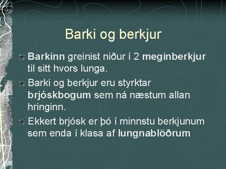 Barki og berkjur Barkinn greinist niður í 2 meginberkjur til sitt hvors lunga. Barki