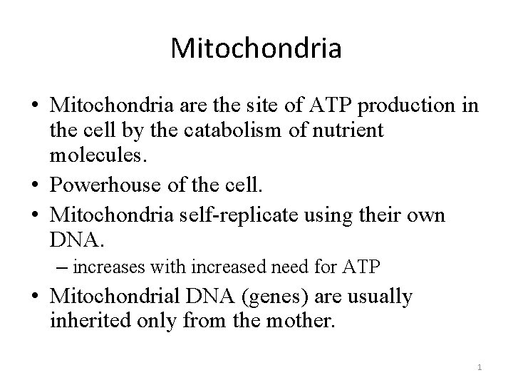Mitochondria • Mitochondria are the site of ATP production in the cell by the