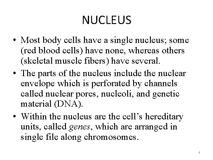 NUCLEUS • Most body cells have a single nucleus; some (red blood cells) have