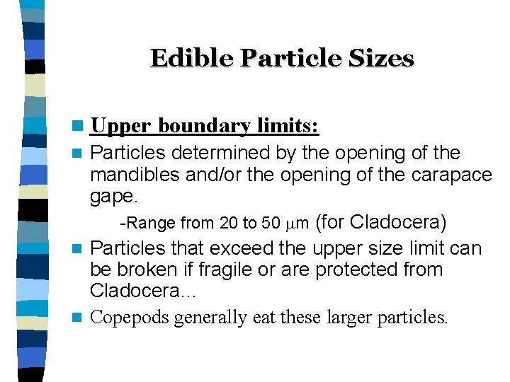 Edible Particle Sizes n Upper boundary limits: Particles determined by the opening of the