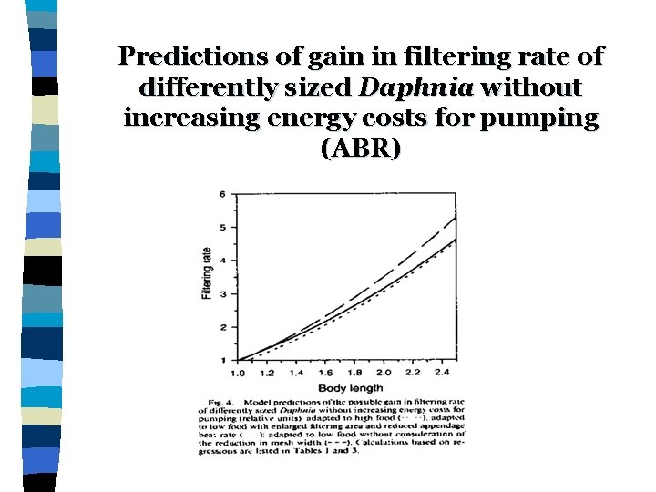 Predictions of gain in filtering rate of differently sized Daphnia without increasing energy costs