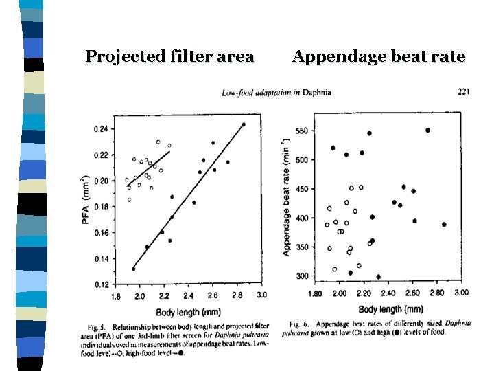 Projected filter area Appendage beat rate 