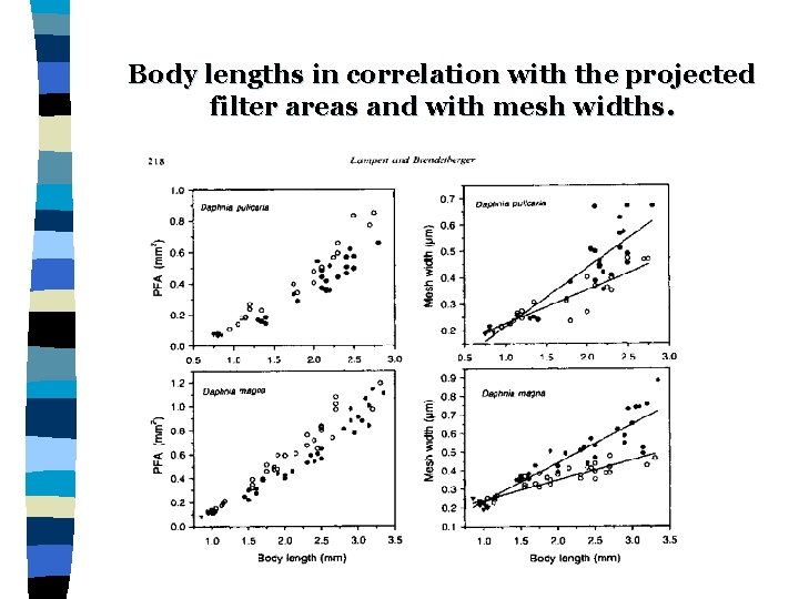 Body lengths in correlation with the projected filter areas and with mesh widths. 