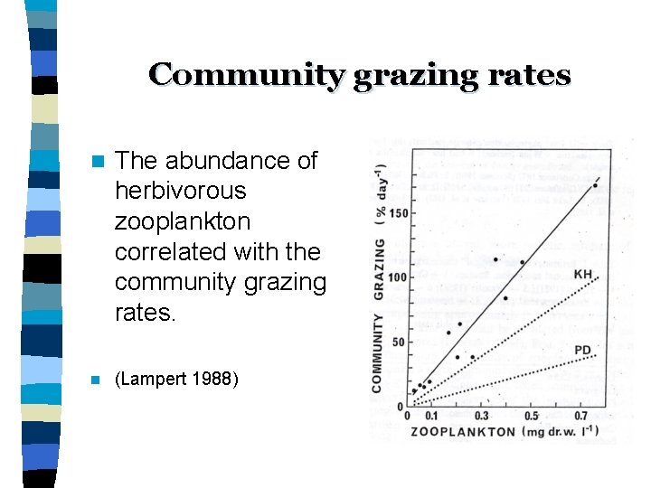 Community grazing rates n The abundance of herbivorous zooplankton correlated with the community grazing