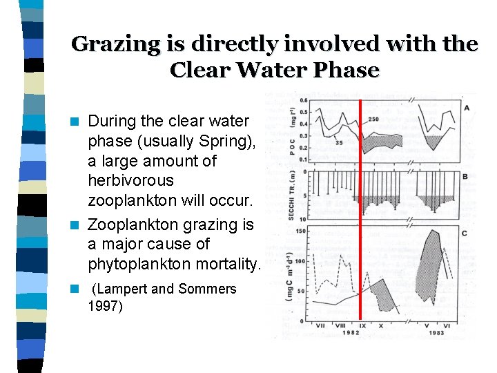 Grazing is directly involved with the Clear Water Phase During the clear water phase