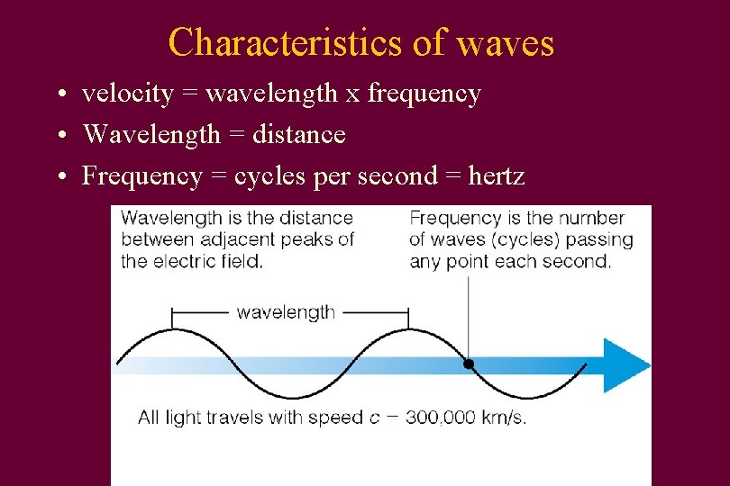 Characteristics of waves • velocity = wavelength x frequency • Wavelength = distance •