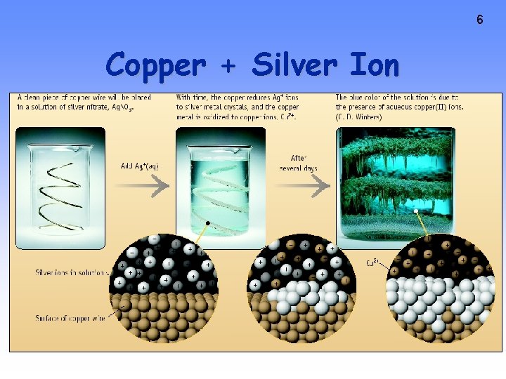 6 Copper + Silver Ion 