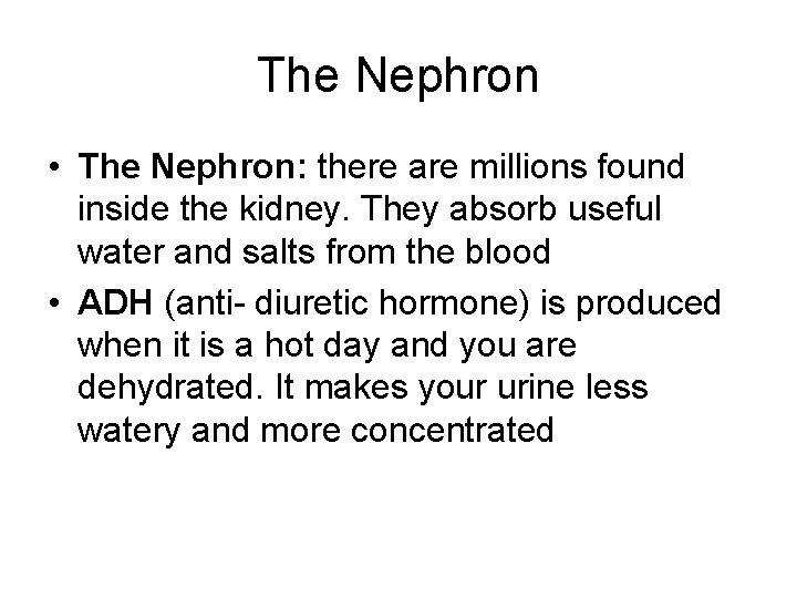 The Nephron • The Nephron: there are millions found inside the kidney. They absorb The Nephron • The Nephron: there are millions found inside the kidney. They absorb