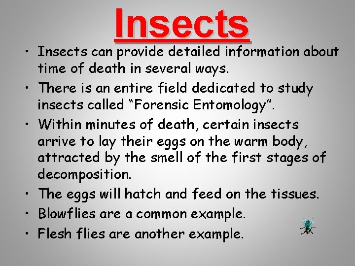 Insects • Insects can provide detailed information about time of death in several ways.