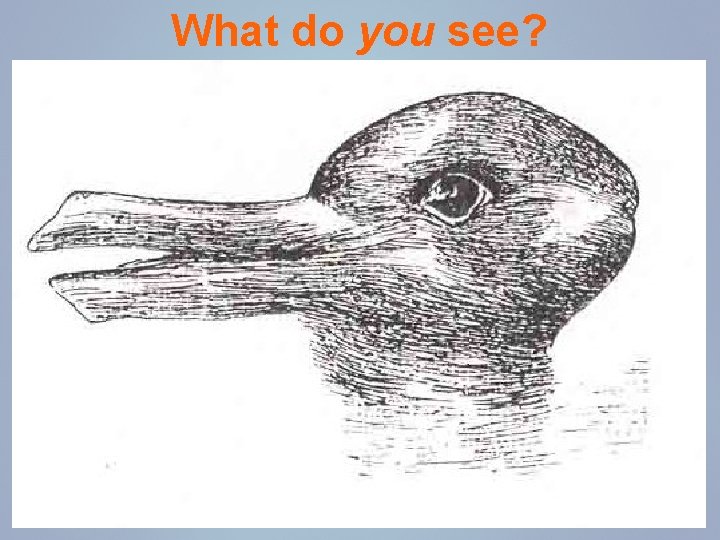 What do you see? 
